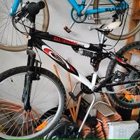 MTB 24" Esperia up's