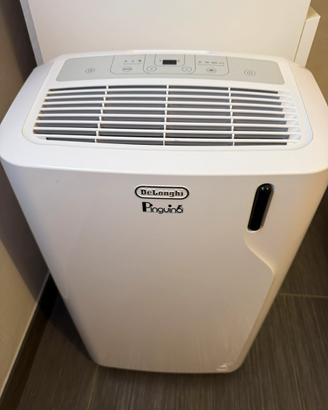 Condizionatore portarile delonghi