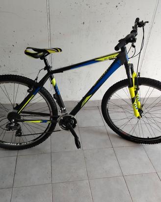 MOUNTAIN BIKE 29 POLLICI IN ALLUMINIO 