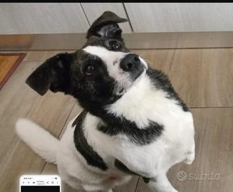 Luce 3anni TRIPODE,stallo sta finendoNUORO SOS