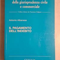 IL PAGAMENTO DELL'INDEBITO - CEDAM - 2004