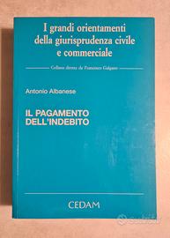 IL PAGAMENTO DELL'INDEBITO - CEDAM - 2004