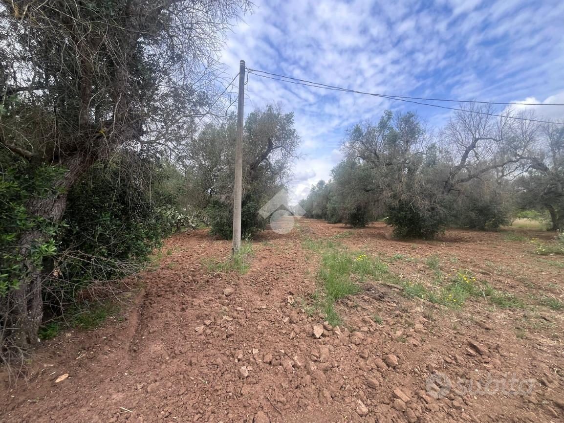TER. AGRICOLO A MESAGNE - Altro