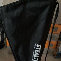 Arpa Stealtharp 22 corde