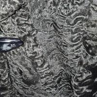 pelliccia astrakan!
