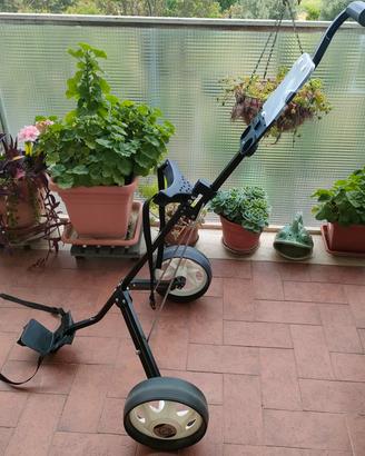 Carrello golf