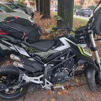 Benelli Tornado Naked T 125 - 2024