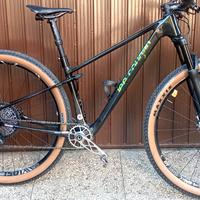 Lee Cougan Innova tg S/M ruote carbon DT SWISS 
Te