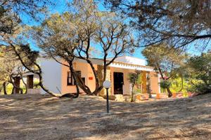 Villa Ibiscus soggiorno vicino al mare x4