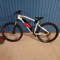 Mountain bike elettrica 