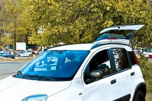 Fiat Panda 4x4 int.CROSS 2022 –Benzina –Come Nuova