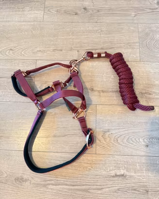 Capezza cavallo