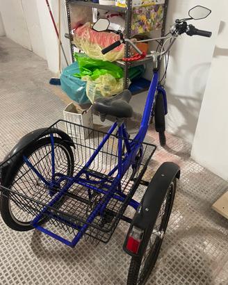 Bicicletta a tre ruote Sempion