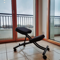 Sedie ergonomiche Ikea
