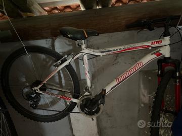 Bicicletta rampichino