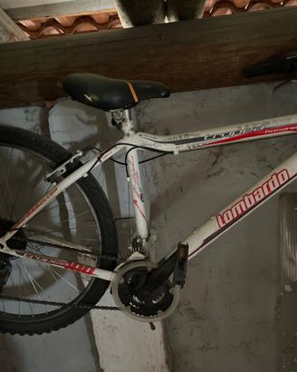 Bicicletta rampichino