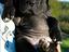 Immagine 1