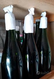 Bottiglie vuote per imbottigliamento