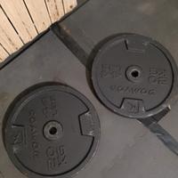 Dischi domyos da 20 kg l'uno .