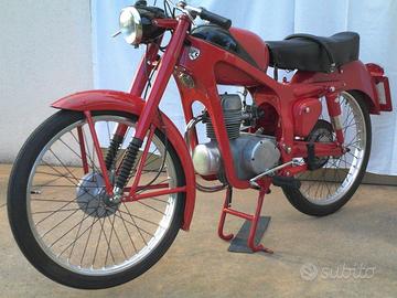 Capriolo 75 IIS Sport