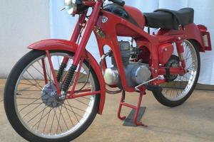 Capriolo 75 IIS Sport