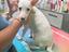 Immagine 6