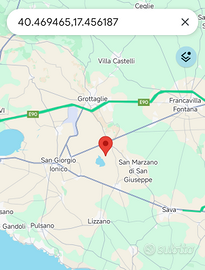 Terreno agricolo con spalliera primitivo