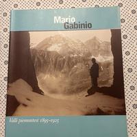 Gabinio mario valli piemontesi q