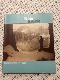 Gabinio mario valli piemontesi q