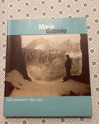 Gabinio mario valli piemontesi q