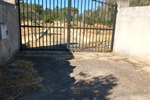 Terreno agricolo
