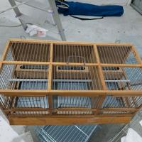 Gabbia in legno per cardellini, canarini e pappaga