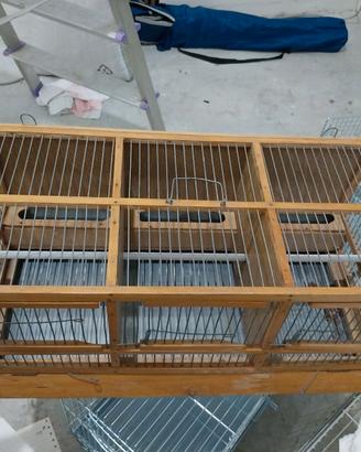 Gabbia in legno per cardellini, canarini e pappaga