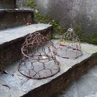 Museruola antica per mucca