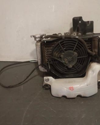Radiatore conpleto honda sh125 150 anno 2005  2008