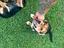 Immagine 1