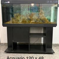 Acquario 120x48