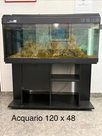 Acquario 120x48