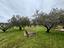 Immagine 8