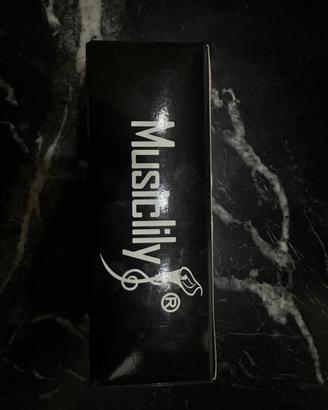 Chiavini per chitarra telecaster