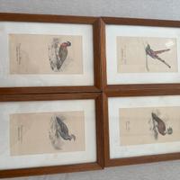 Quadro