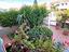 Immagine 29