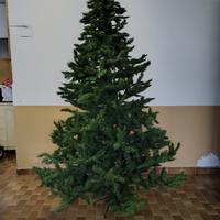 Albero di natale 250 cm