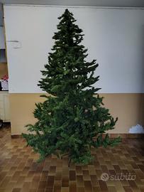 Albero di natale 250 cm