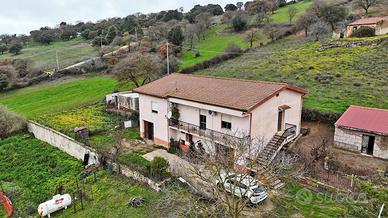 Casa indipendente - pattada