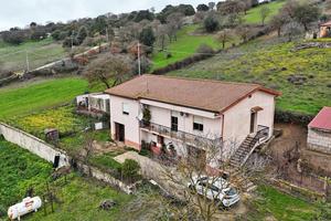 Casa indipendente - pattada