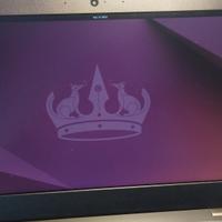 Lenovo ThinkPad Type 20NS in buone condizioni