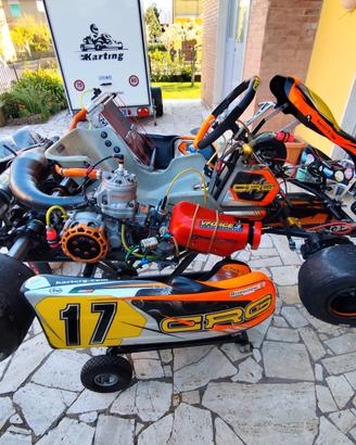 kart crg Rebel 2019 vortex