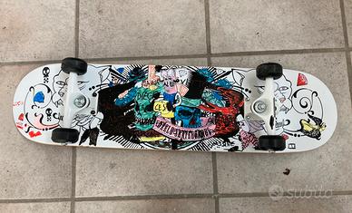 Skateboard 79x20 + racchette