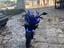 Immagine 1